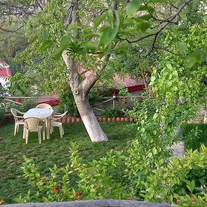 family-house-roleo.albaniahotels.org/